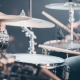 Fall Concerts in Tampa