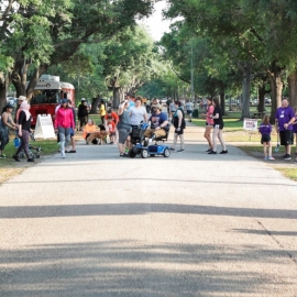 Fun Things to Do in Tampa 